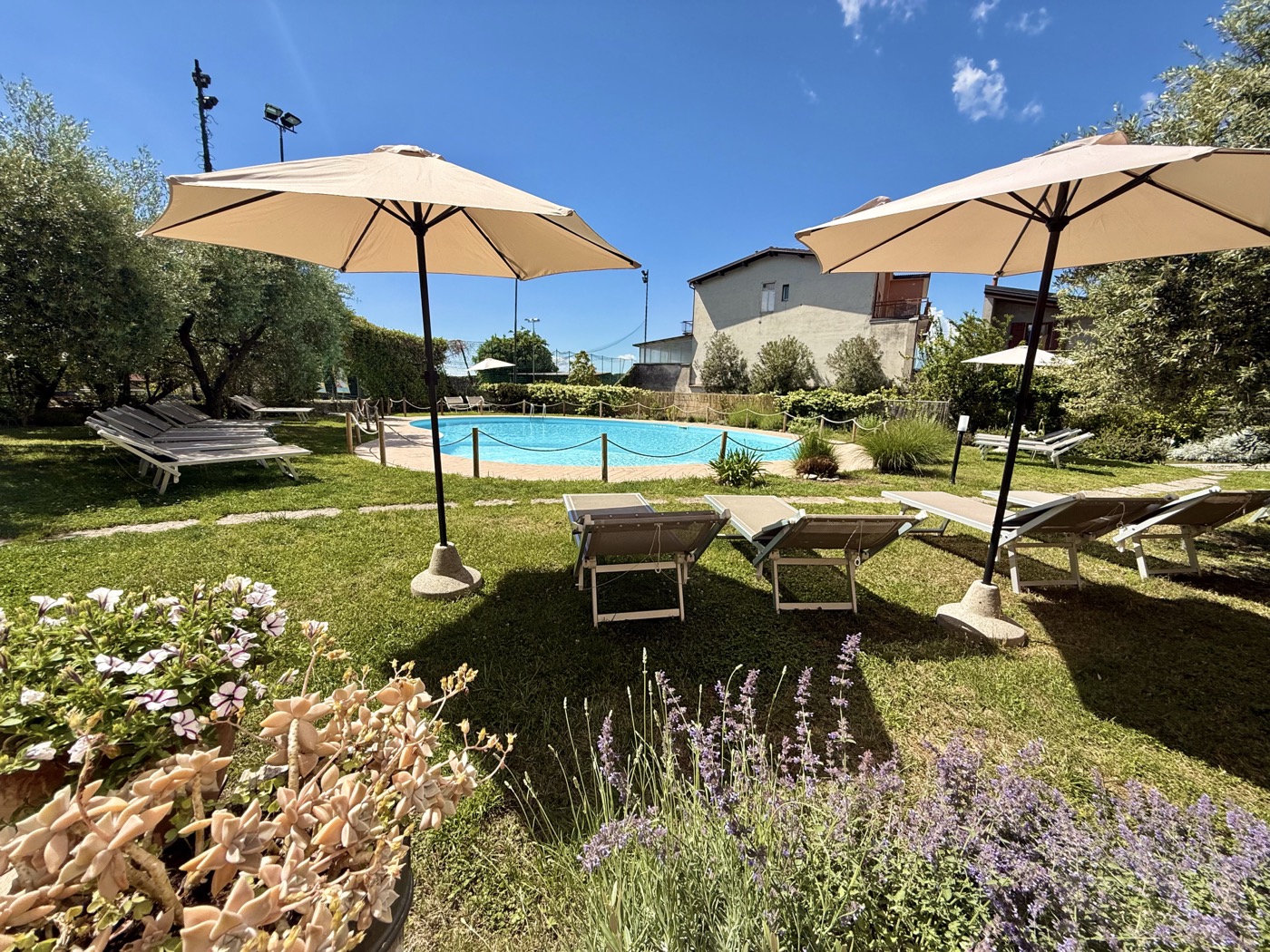 Olive garden at Hotel Vittoria