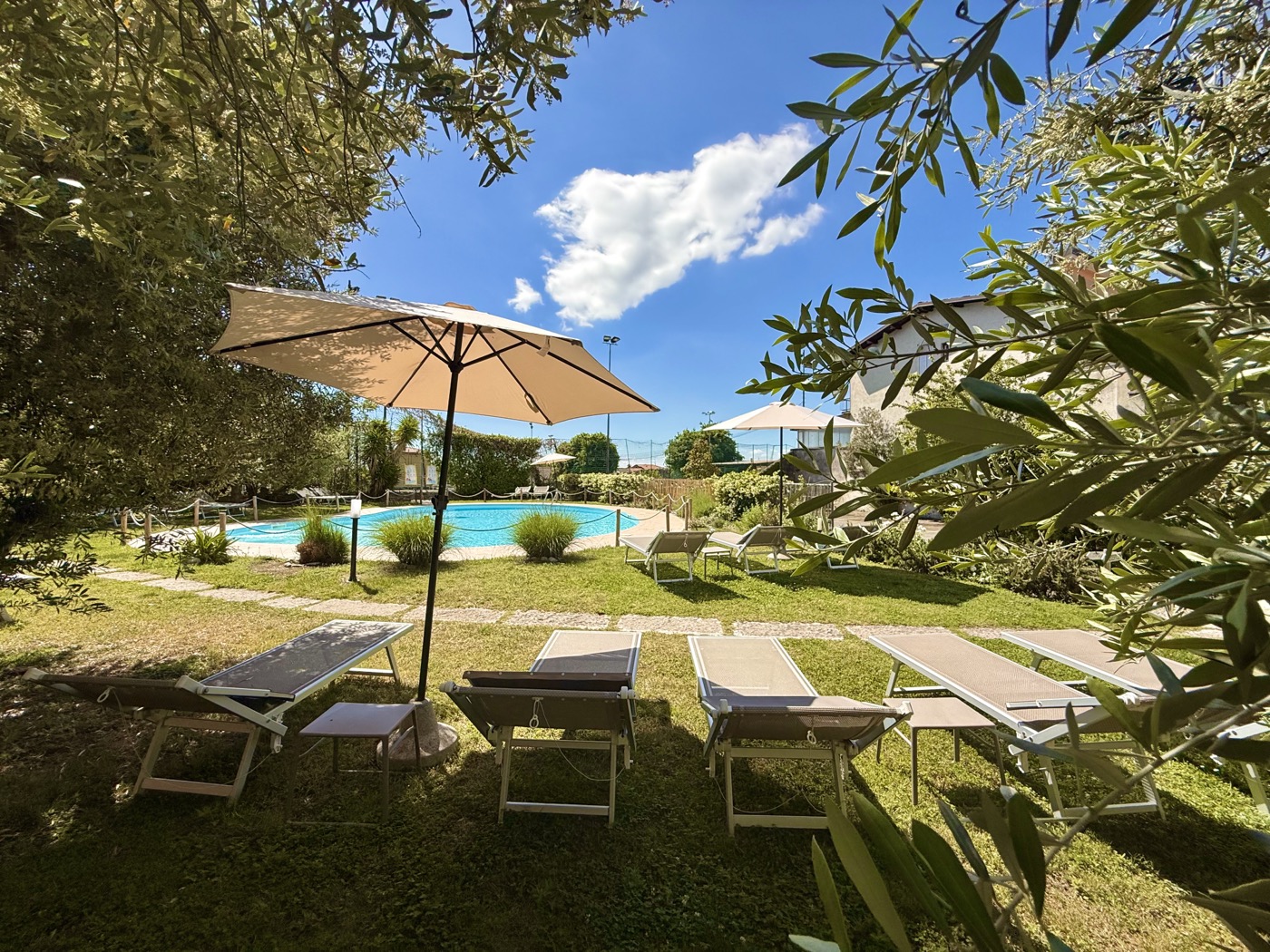 Olive garden at Hotel Vittoria