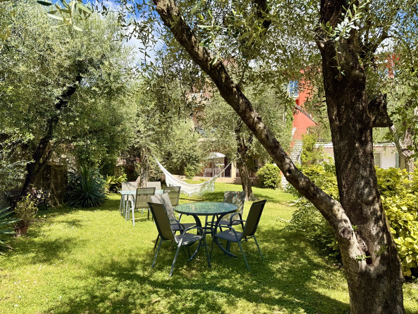 Olive garden at Hotel Vittoria