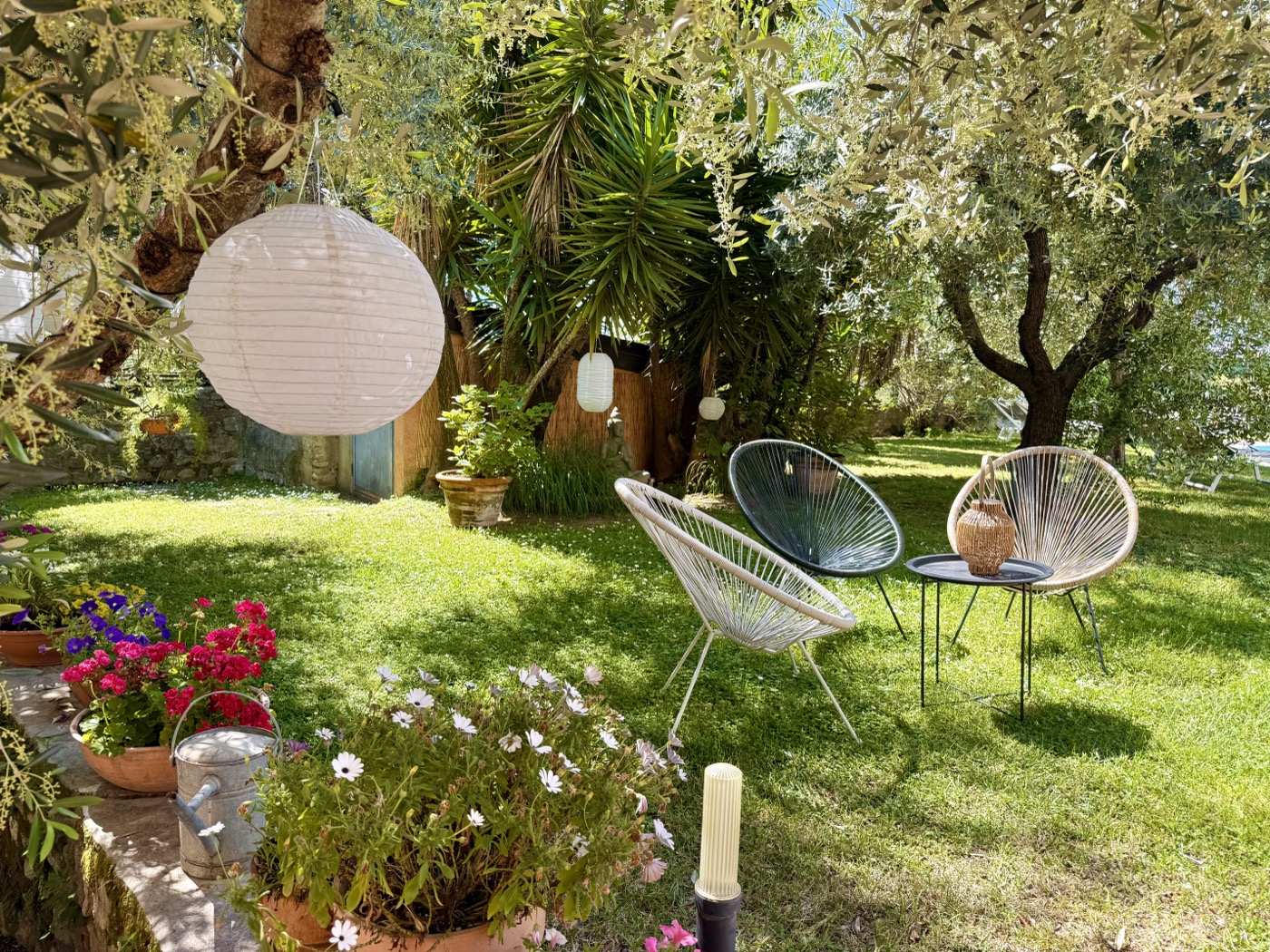 Olive garden at Hotel Vittoria
